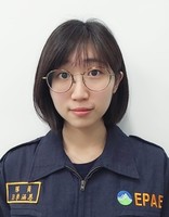 照片圖片